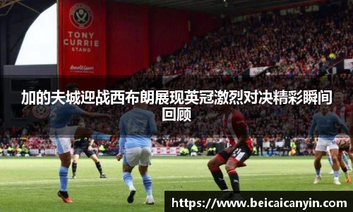 中欧体育网址