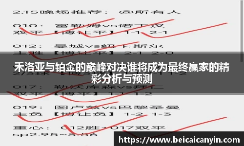 禾洛亚与铂金的巅峰对决谁将成为最终赢家的精彩分析与预测