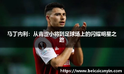 马丁内利：从青涩小将到足球场上的闪耀明星之路