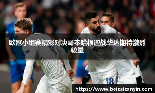 中欧体育网址